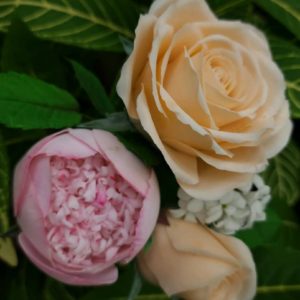 Online Flexi Gum Paste Class-Rose & Charm Peony by Anand Kumar